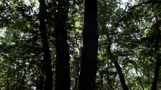 Mesmeriza_23_03_MOV_CINEMA_CLIP_322_20240814144714515