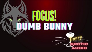 [Gay Furry Audio] Focus, Dumb Bunny!