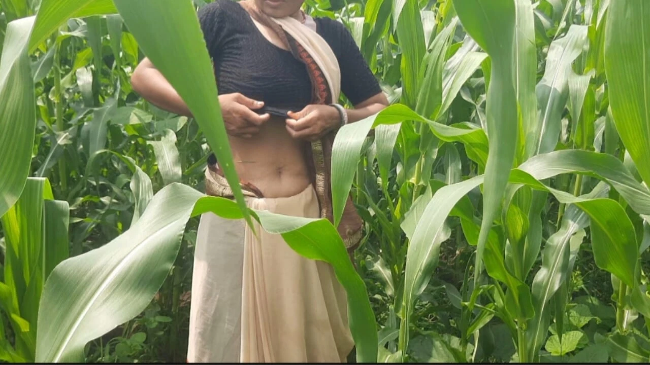 My real sister-in-law, the elder brother’s housewife, had been asking for many days to make a mare in the open forest field and leave it, today I told my sister-in-law to farm maize in the open forest.