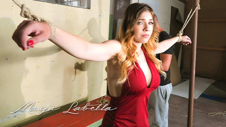 You made my pussy dripping wet, Master! Maya Labella for Submissed