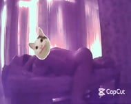 Asian Massage and Sex time in Massage Parlour